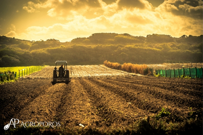 Agroporos Türkiye'nin En Büyük Amino Asit Üreticisi